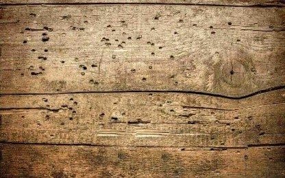bois usé par termites b